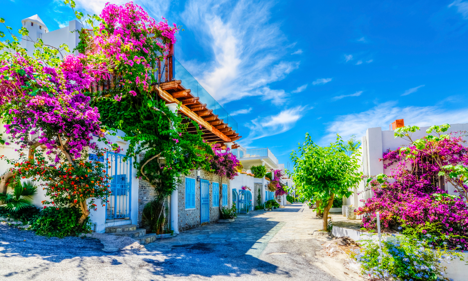 Private Bodrum Village Tour