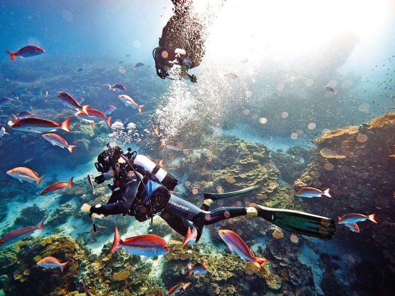 Bodrum Scuba Diving